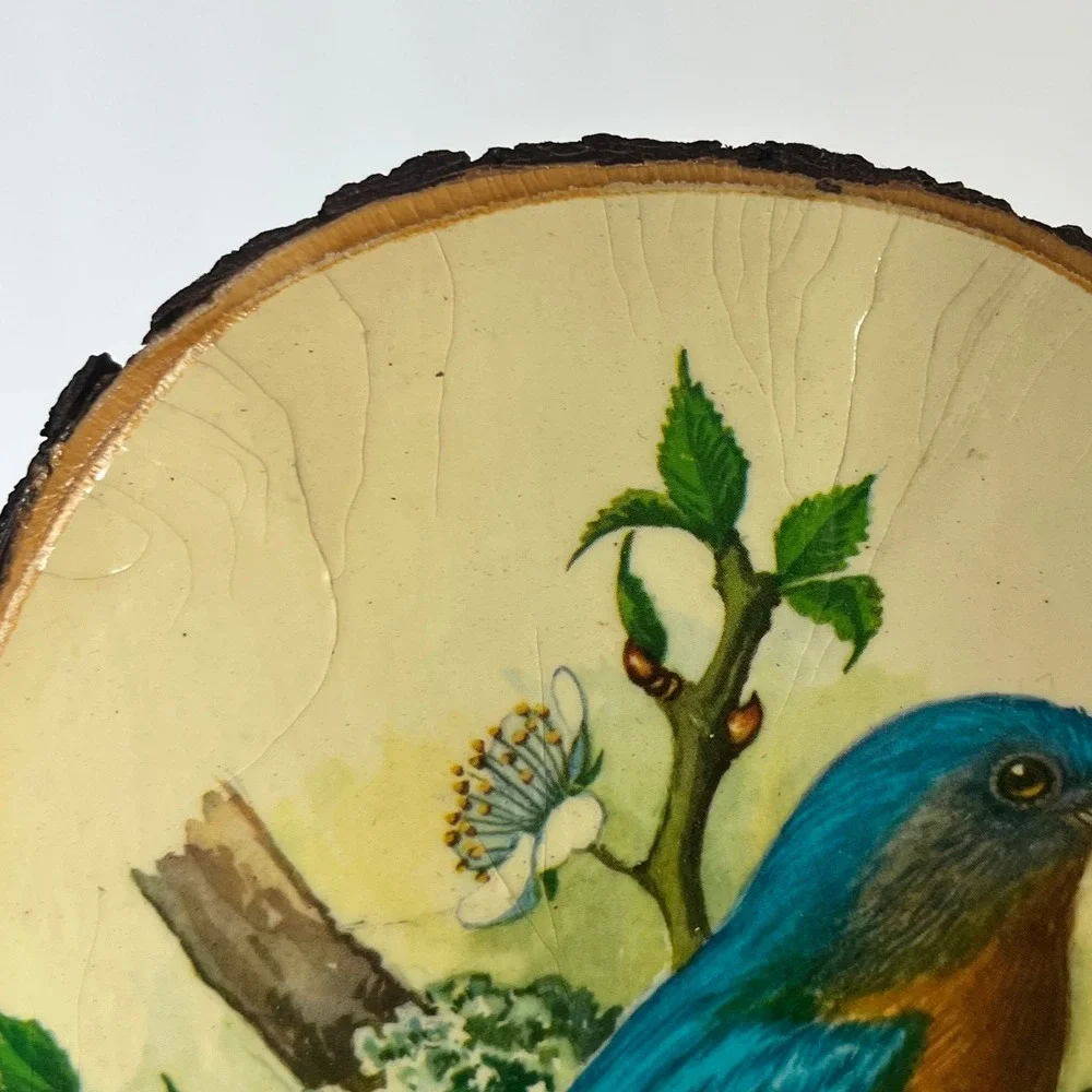 Vintage P.H. Gonner Bird Wood Slice Wall Plaques Set Bluebird Goldfinch Kinzua